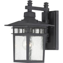 Cove Neck Single Light 11-3/4" Tall Outdoor Wall Sconce with Seedy Glass Shade - ADA Compliant