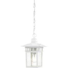 Cove Neck Single Light 7" Wide Outdoor Mini Pendant with Seedy Glass Shade