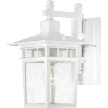 Cove Neck Single Light 14" Tall Outdoor Wall Sconce with Seedy Glass Shade - ADA Compliant