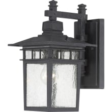 Cove Neck Single Light 14" Tall Outdoor Wall Sconce with Seedy Glass Shade - ADA Compliant