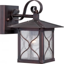 Vega Single Light 9-3/4" Tall Outdoor Wall Sconce with Seedy Glass Shade