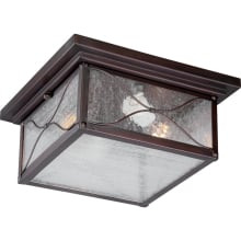 Vega 2 Light 11-1/4" Wide Outdoor Flush Mount Square Ceiling Fixture with Seedy Glass Shade