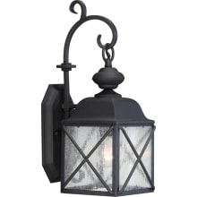 Wingate Single Light 17-7/8" Tall Outdoor Wall Sconce with Seedy Glass Shade