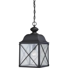 Wingate Single Light 9-7/8" Wide Outdoor Mini Pendant with Seedy Glass Shade