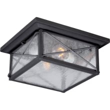 Wingate 2 Light 11-1/4" Wide Outdoor Flush Mount Square Ceiling Fixture with Seedy Glass Shade