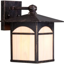 Canyon Single Light 10-1/8" Tall Outdoor Wall Sconce with Colored Glass Shade