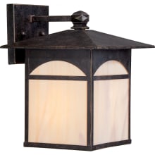 Canyon Single Light 11-1/2" Tall Outdoor Wall Sconce with Colored Glass Shade