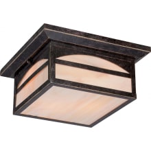 Canyon 2 Light 11-1/4" Wide Outdoor Flush Mount Square Ceiling Fixture with Colored Glass Shade
