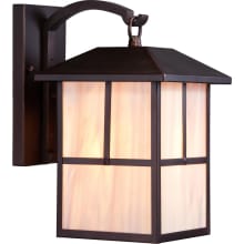 Tanner Single Light 13-5/8" Tall Outdoor Wall Sconce with Colored Glass Shade