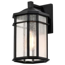 Raiden 9" Tall Outdoor Wall Sconce with Seedy Glass Shade