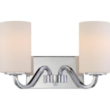 Willow 2 Light 14" Wide Bathroom Vanity Light with Frosted Glass Shades