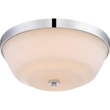 Willow 2 Light 13-1/2" Wide Flush Mount Bowl Ceiling Fixture