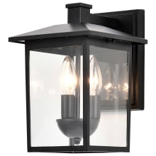 Jamesport 3 Light 9" Tall Outdoor Wall Sconce with Clear Glass Shade