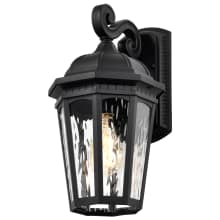 East River 10" Tall Outdoor Wall Sconce with Water Glass Shade