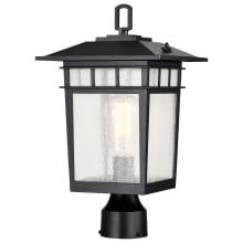 Cove Neck 16" Tall Post Light with Clear Glass Shade