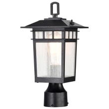 Cove Neck 14" Tall Post Light with Clear Glass Shade