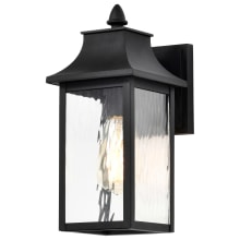 Austen 8" Tall Outdoor Wall Sconce with Water Glass Shade