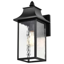 Austen 10" Tall Outdoor Wall Sconce with Water Glass Shade