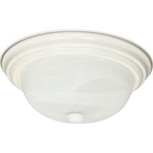 2 Light 11" Wide Flush Mount Bowl Ceiling Fixture with a Glass Shade