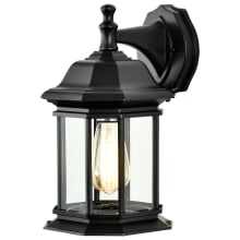 Hopkins 9" Tall Outdoor Wall Sconce with Clear Glass Shade