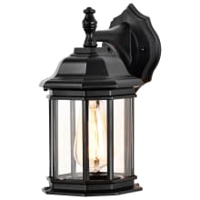 Hopkins 8" Tall Outdoor Wall Sconce with Clear Glass Shade