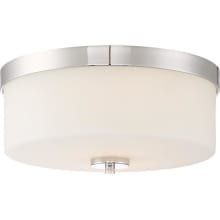 Denver 2 Light 13-5/8" Wide Flush Mount Drum Ceiling Fixture with Frosted Shade