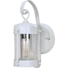 Single Light 10-5/8" Tall Outdoor Wall Sconce with Seedy Glass Shade