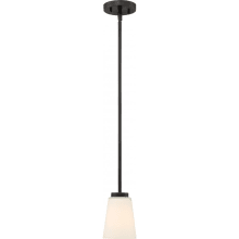 Single Light 6" Wide Mini Pendant with Frosted Shade
