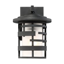 Lansing Single Light 10" Tall Outdoor Wall Sconce with an Etched Glass Shade