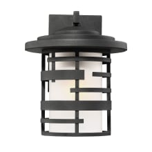 Lansing Single Light 12" Tall Outdoor Wall Sconce with an Etched Glass Shade