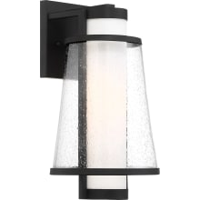 Anau 15" Tall Outdoor Wall Sconce