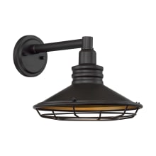 Blue Harbor 10" Tall Outdoor Wall Sconce with 12" Width