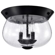 Boliver 3 Light 14" Wide Flush Mount Bowl Ceiling Fixture with Shade