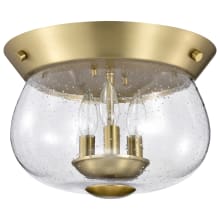 Boliver 3 Light 14" Wide Flush Mount Bowl Ceiling Fixture with Bowl Shade