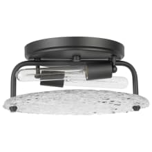 Glacier 2 Light 13" Wide Flush Mount Ceiling Fixture