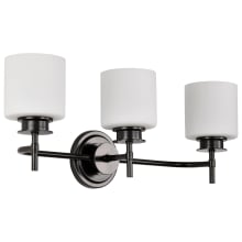 Warren 3 Light 24" Wide Vanity Light