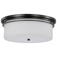 Warren 2 Light 15" Wide Flush Mount Drum Ceiling Fixture