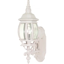 Central Park Single Light 20" Tall Outdoor Wall Sconce with Clear Glass Shade - ADA Compliant