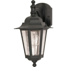 Cornerstone Single Light 13" Tall Outdoor Wall Sconce with Seedy Glass Shade