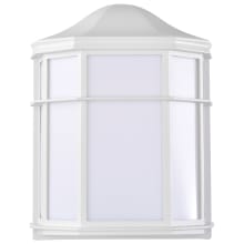 LED Cage Lantern Utility Light