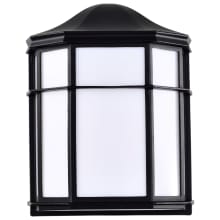 LED Cage Lantern Utility Light