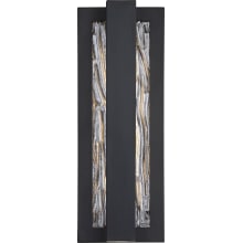 Lucas 2 Light 16" Tall LED Wall Sconce