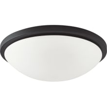 Button 17" Wide LED Flush Mount Bowl Ceiling Fixture with a Glass Shade