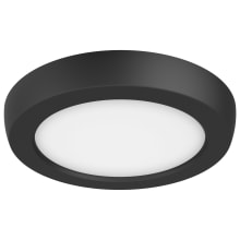 Blink Pro 5" Wide Flush Mount Ceiling Fixture