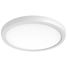 Blink Pro Plus 15" Wide LED Flush Mount Ceiling Fixture