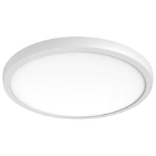 Blink Pro Plus 19" Wide LED Flush Mount Ceiling Fixture