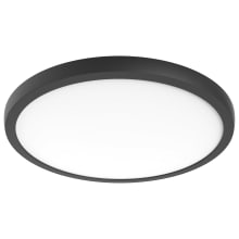 Blink Pro Plus 19" Wide LED Flush Mount Ceiling Fixture