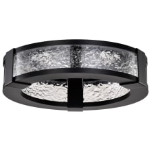 Darrow 14" Wide Flush Mount Ceiling Fixture