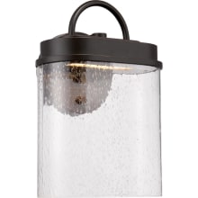 Hunt Single Light 13" Tall Integrated LED Outdoor Wall Sconce with Seedy Glass Shade