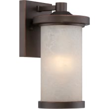 Diego Single Light 10-3/8" Tall LED Outdoor Wall Sconce with Patterned Glass Shade